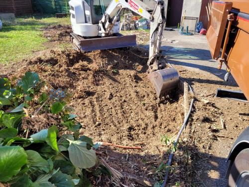 Terrassement d'un terrain envahi par les rhizomes de bambous. 