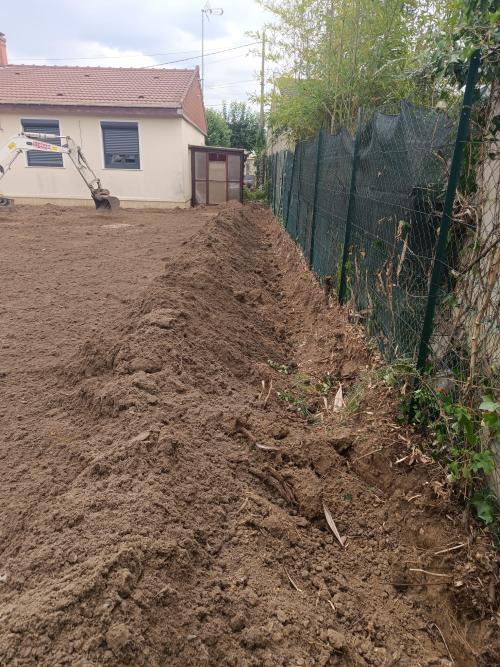 Terrassement d'un terrain envahi par les rhizomes de bambous. 