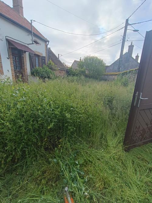 Remise en état de jardin,  après une forte pousse de la végétation !