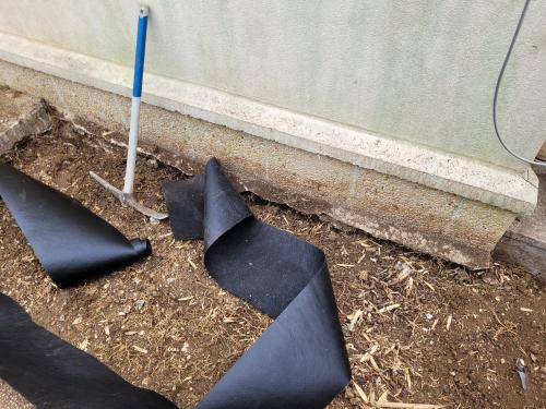 Terrassement d'un terrain envahi par les rhizomes de bambous. 