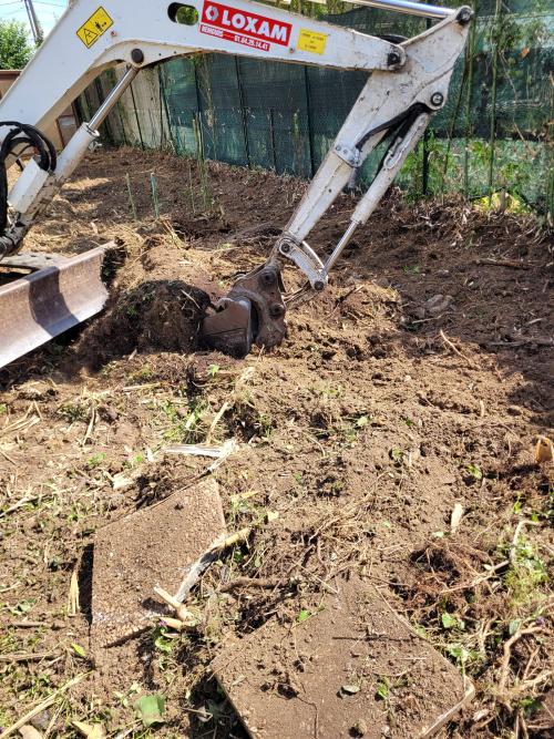 Terrassement d'un terrain envahi par les rhizomes de bambous. 